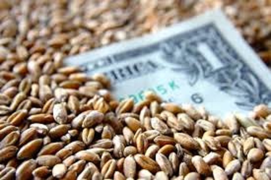  کاهش قیمت جهانی گندم و ذرت