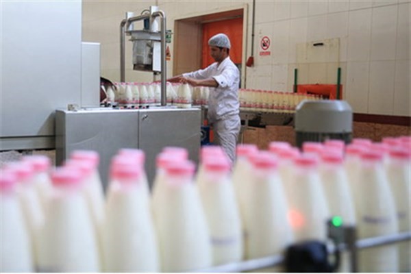 افزایش ۴۰۰ تومانی قیمت شیر خام شرکت لبنیات پاک