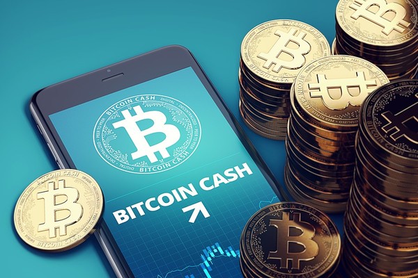 توسعهدهندگان بیتکوین کش: اگر اقدامی صورت نگیرد، بیتکوین کش از بین خواهد رفت