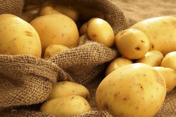 فاصله ۲ برابری قیمت سیبزمینی در محدوده چند کیلومتری!
