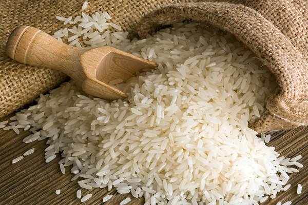 دو رقم جدید برنج معرفی شدند/ پرمحصول و معطر