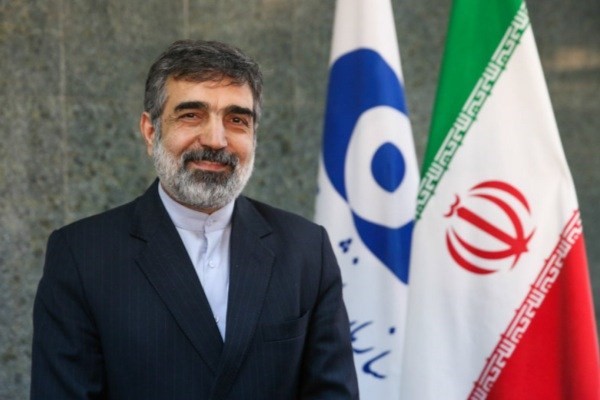 کمالوندی: اژانس به زودی غنی سازی 4.5 درصد را اعلام می‌کند
