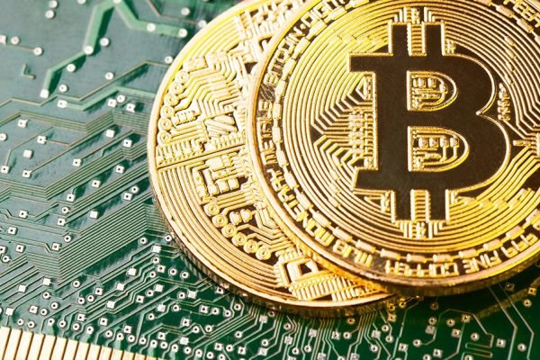ایا خرس ها بیت کوین را هدف قرار داده اند؟