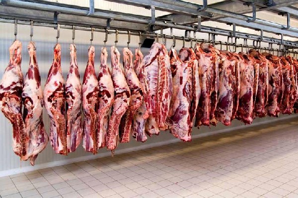 قیمت گوشت در کشور به ثبات نسبی رسیده است