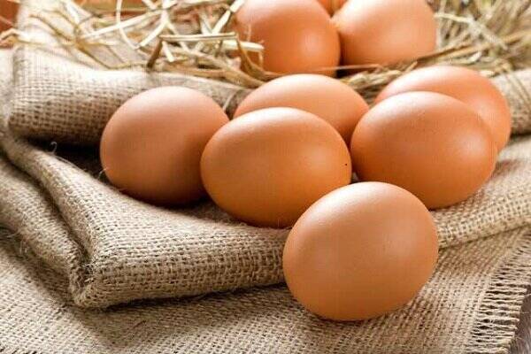 صادرات ۱۱ هزار تن تخممرغ در ۲.۵ ماه