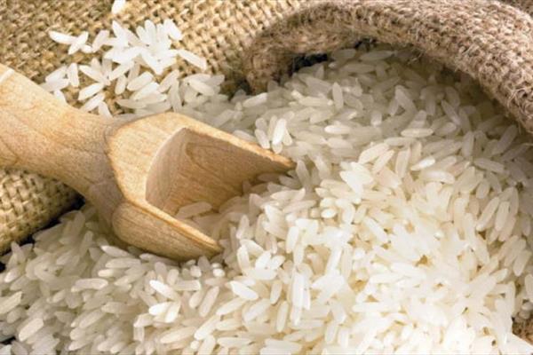 افزایش ۱۰۰ درصدی قیمت برنج تازه داخلی نسبت به سال گذشته
