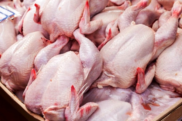 صعود قیمت مرغ در بین کالاهای اساسی