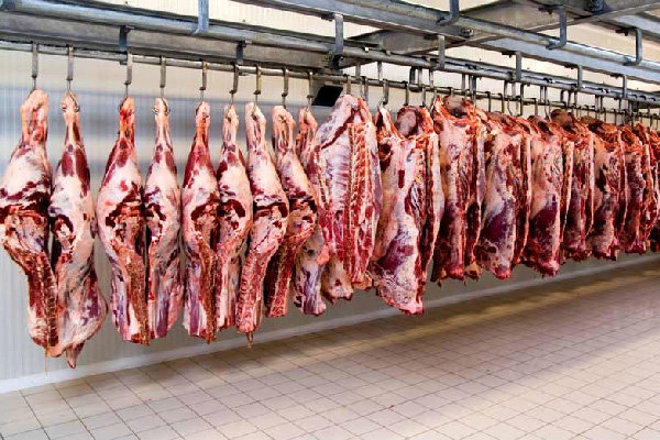کاهش قیمت گوشت قرمز/ ران پاک شده گوسفندی هرکیلو 83 هزار تومان