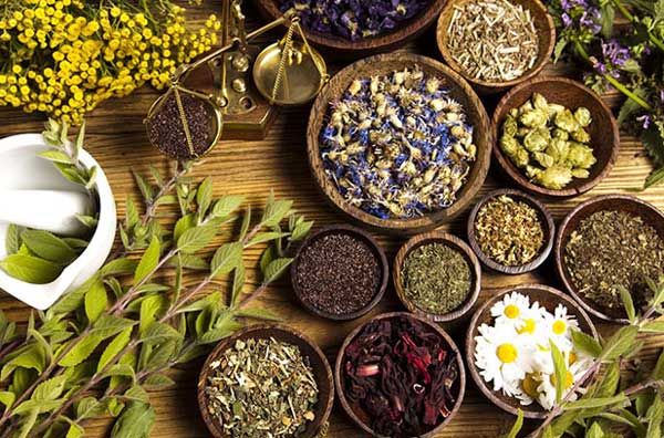 ارزش صادارت گیاهان دارویی ایران ۵۷۰ میلیون دلار است