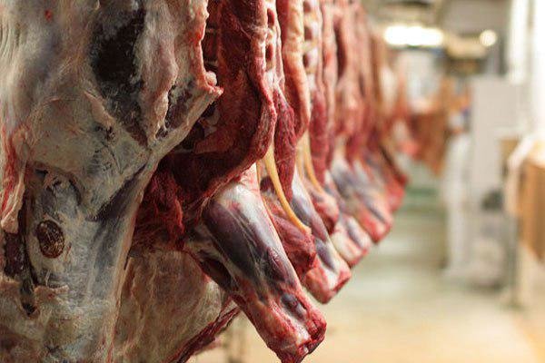 رئیس شورای تامین کنندگان دام زنده: قیمت گوشت افزایشی نخواهد داشت