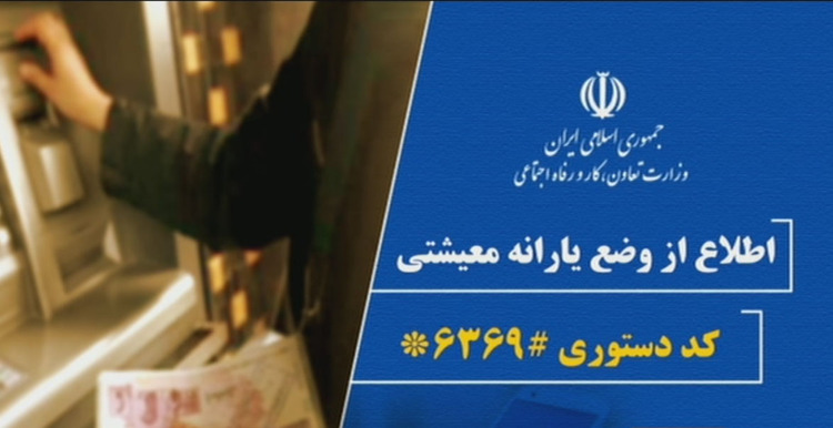 2 میلیون خانوار در سامانه #6369* ثبت نام کردند