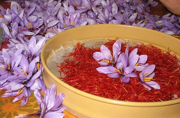 دو دغدغه‌ صادرکنندگان زعفران خراسان رضوی