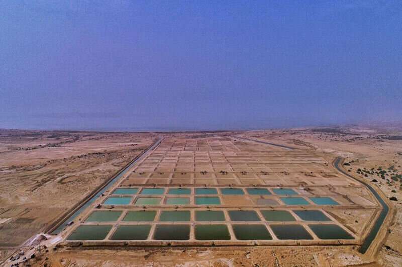 خطر اخراج قشم از یونسکو جدی شد