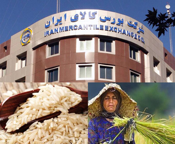 تاریخ انقضای اعتبار گواهی سپرده برنج اعلام شد