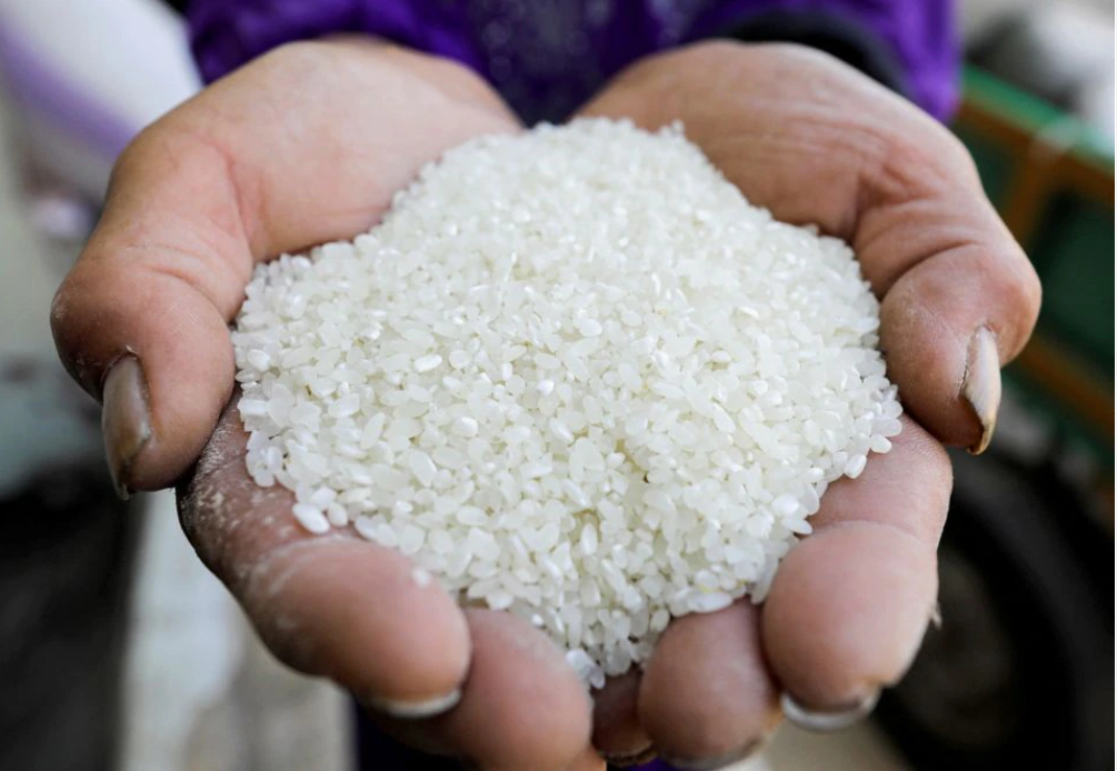 آیا قیمت برنج افزایش می‌یابد؟