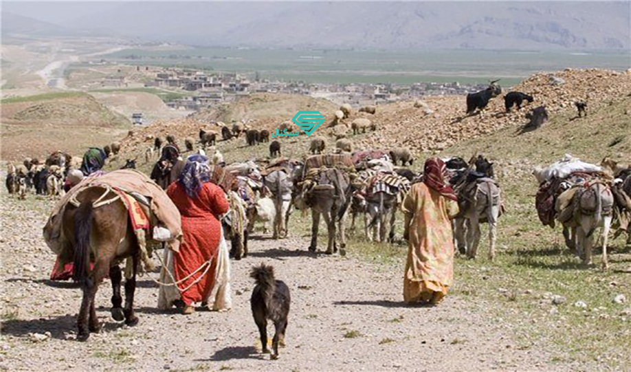 بیمه برای عشایر در سال 1401 رایگان می‌شود