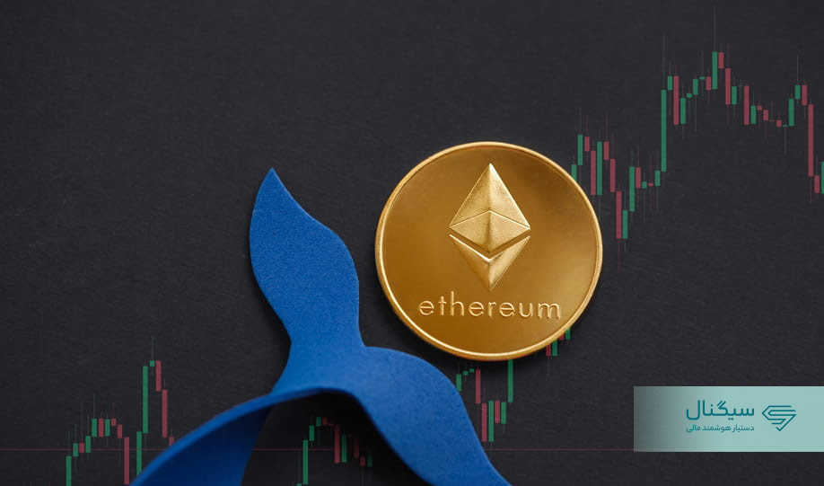 نهنگ‌ها چند درصد از بیت کوین و اتریوم را در اختیار دارند؟