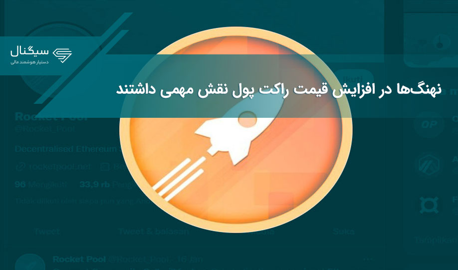 نهنگ‌ها در افزایش قیمت راکت پول نقش مهمی داشتند