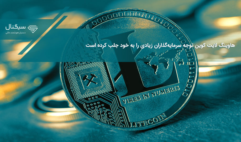 هاوینگ لایت کوین توجه سرمایه‌گذاران زیادی را به خود جلب کرده است