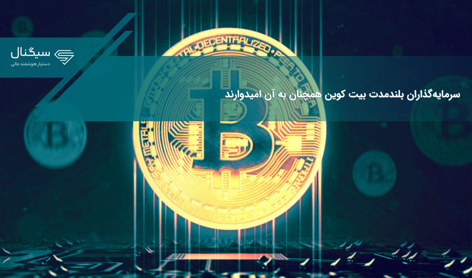 سرمایه‌گذاران بلندمدت بیت کوین همچنان به آن امیدوارند