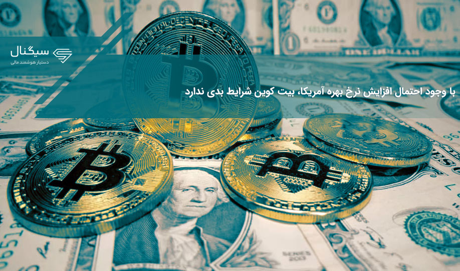 با وجود احتمال افزایش نرخ بهره آمریکا، بیت کوین شرایط بدی ندارد