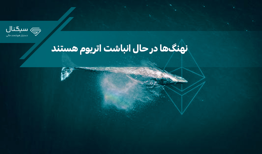 نهنگ‌ها در حال انباشت اتریوم هستند