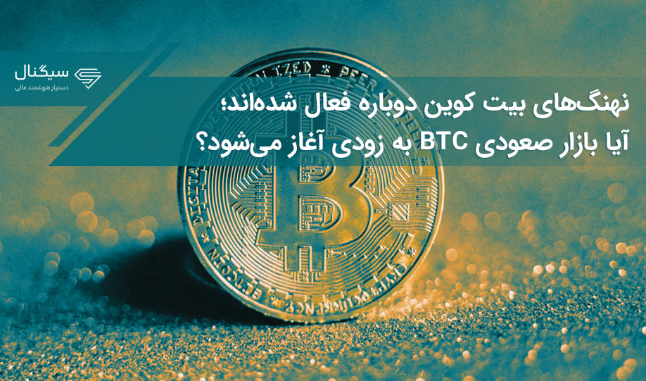نهنگ‌های بیت کوین دوباره فعال شده‌اند؛ آیا بازار صعودی BTC به زودی آغاز می‌شود؟