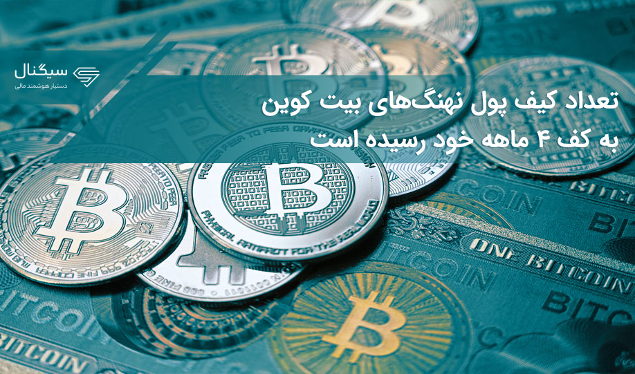تعداد کیف پول نهنگ‌های بیت کوین به کف ۴ ماهه خود رسیده است