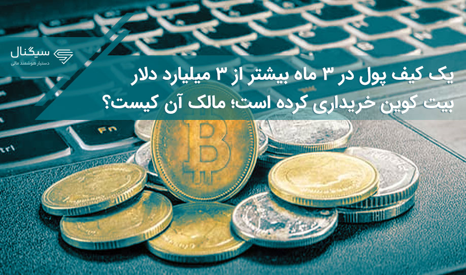 یک کیف پول در ۳ ماه بیشتر از ۳ میلیارد دلار بیت کوین خریداری کرده است؛ مالک آن کیست؟