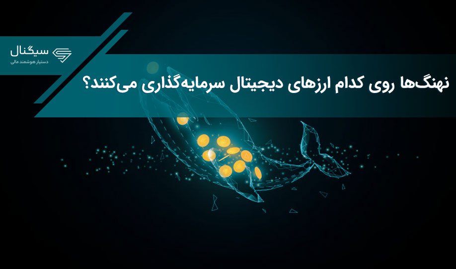 نهنگ‌ها روی کدام ارزهای دیجیتال سرمایه‌گذاری می‌کنند؟