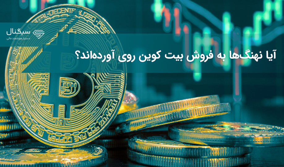 آیا نهنگ‌ها به فروش بیت کوین روی آورده‌اند؟