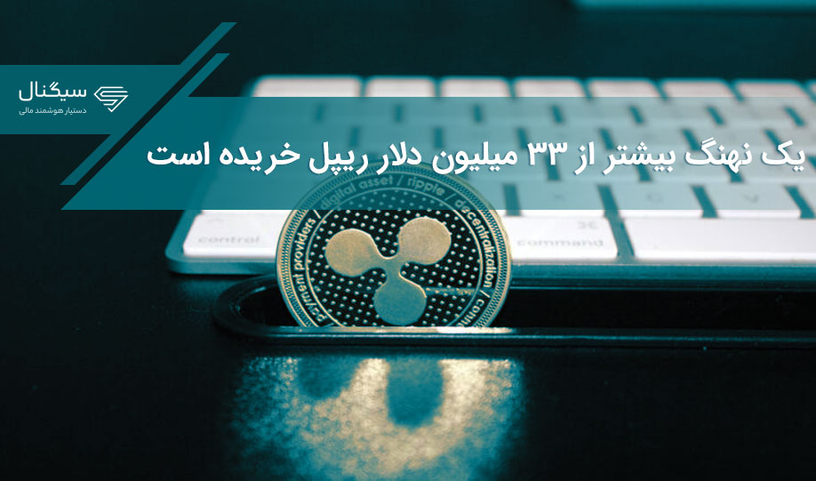 یک نهنگ بیشتر از ۳۳ میلیون دلار ریپل خریده است