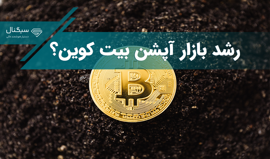 آیا معامله‌گران باتجربه بازار آپشن بیت کوین به رشد آن امیدوار هستند؟