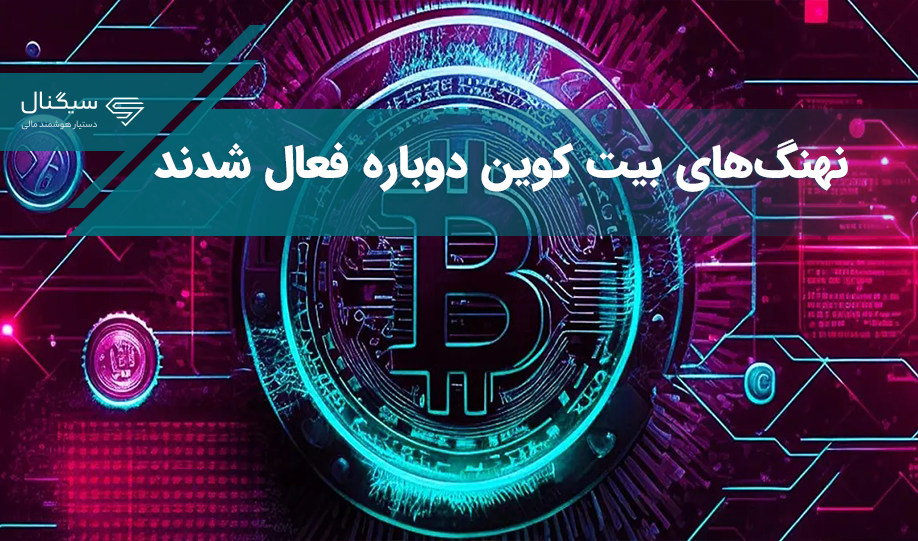 نهنگ‌های بیت کوین دوباره فعال شدند
