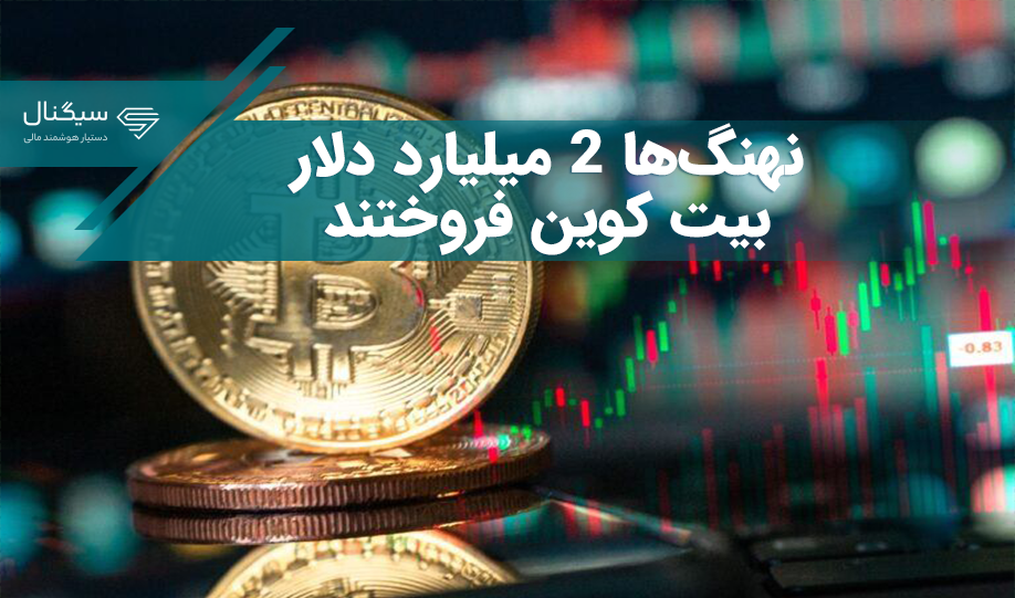 نهنگ‌ها ۲ میلیارد دلار بیت کوین فروختند!