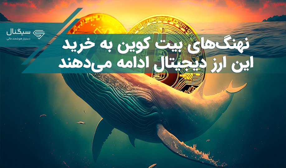 نهنگ‌های بیت کوین به خرید این ارز دیجیتال ادامه می‌دهند