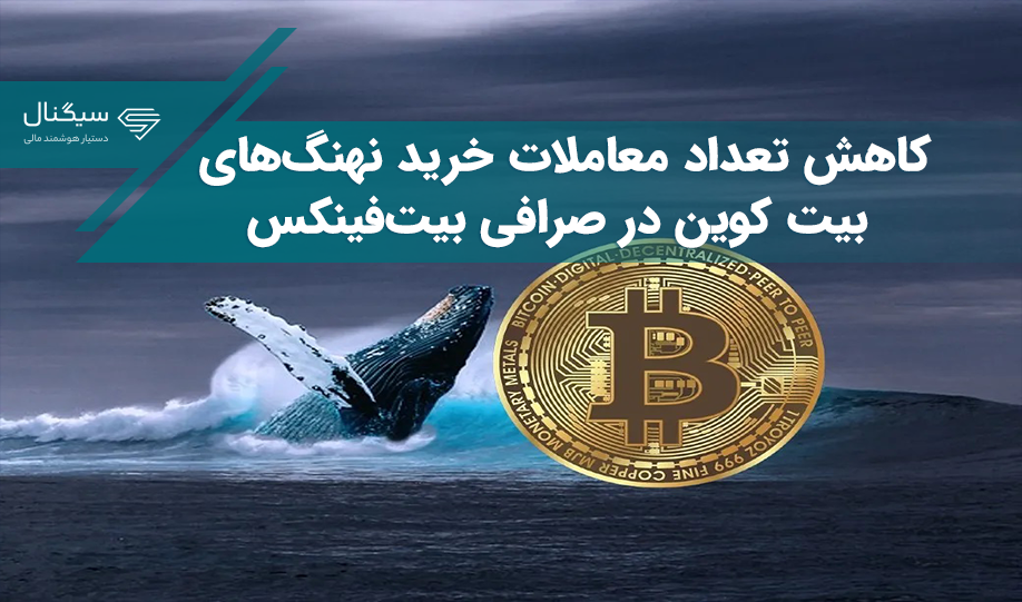 کاهش تعداد معاملات خرید نهنگ‌های بیت کوین در صرافی بیت‌فینکس