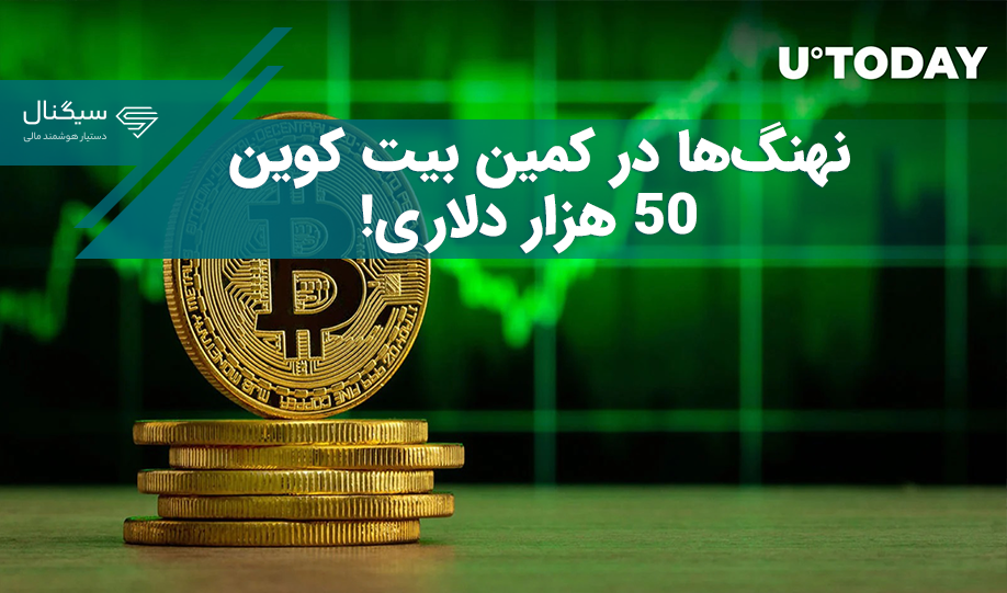 نهنگ‌‍‌ها در کمین بیت کوین 50 هزار دلاری هستند/ شرط مهم رشد قیمت بیت کوین