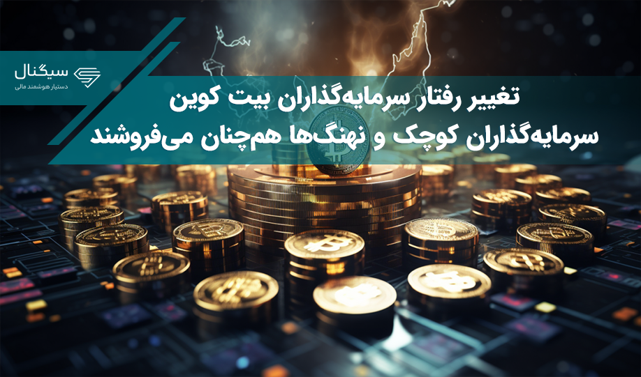 تغییر رفتار سرمایه‌گذاران بیت کوین – سرمایه‌گذاران کوچک و نهنگ‌های هم‌چنان می‌فروشند