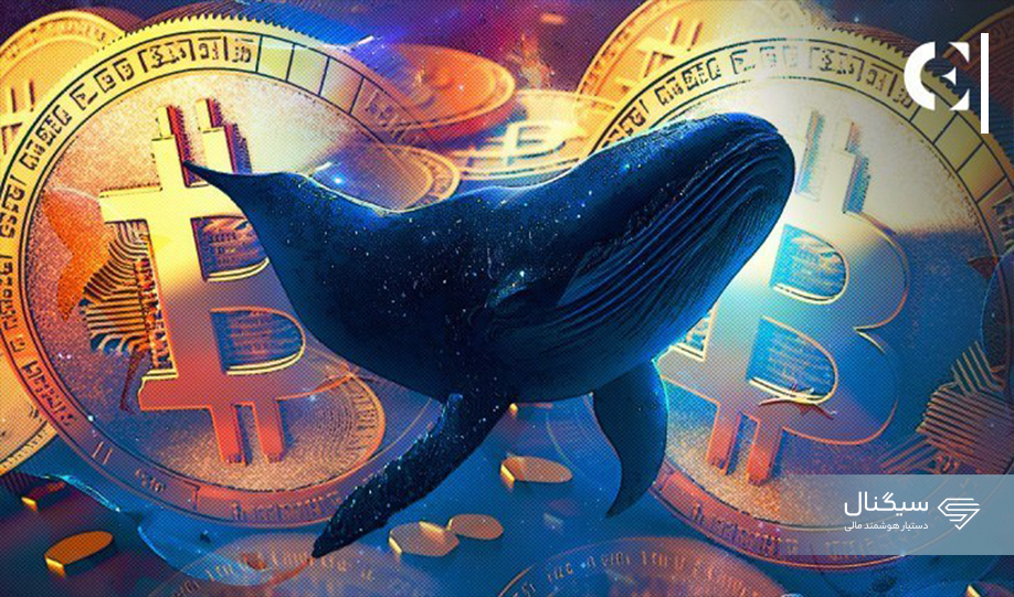 با وجود رشد قیمت بیت کوین، نهنگ‌ها عجله‌ای برای فروش توکن‌های خود ندارند