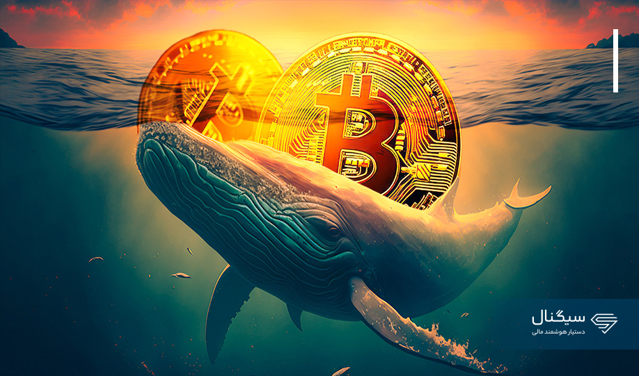 یک نهنگ بیش از ۷۰ میلیون دلار بیت کوین را به بایننس منتقل کرد