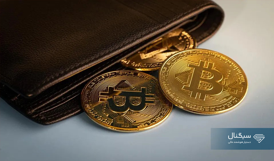 تعداد کیف پول‌های بیت کوین به رکورد قبل از بازار خرسی رسید